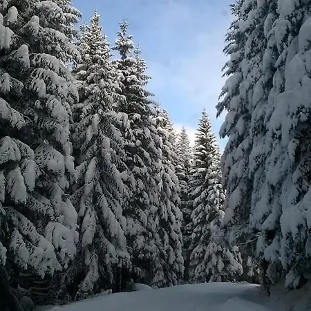 Planinska Kuca Mak * 亚霍里纳